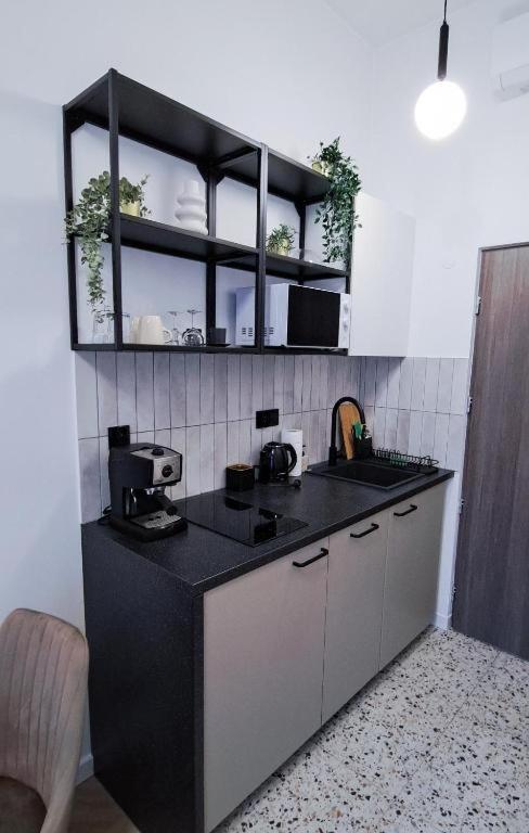 קרקוב Lion Apartments - Premium Studio With Balcony מראה חיצוני תמונה