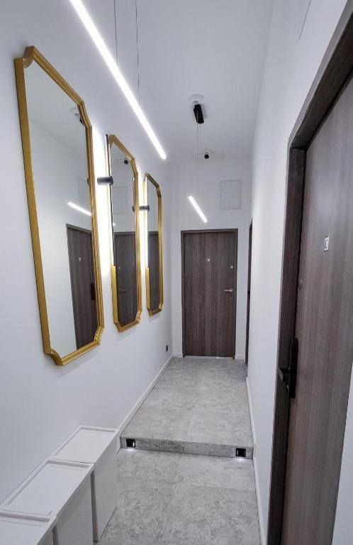 קרקוב Lion Apartments - Premium Studio With Balcony מראה חיצוני תמונה
